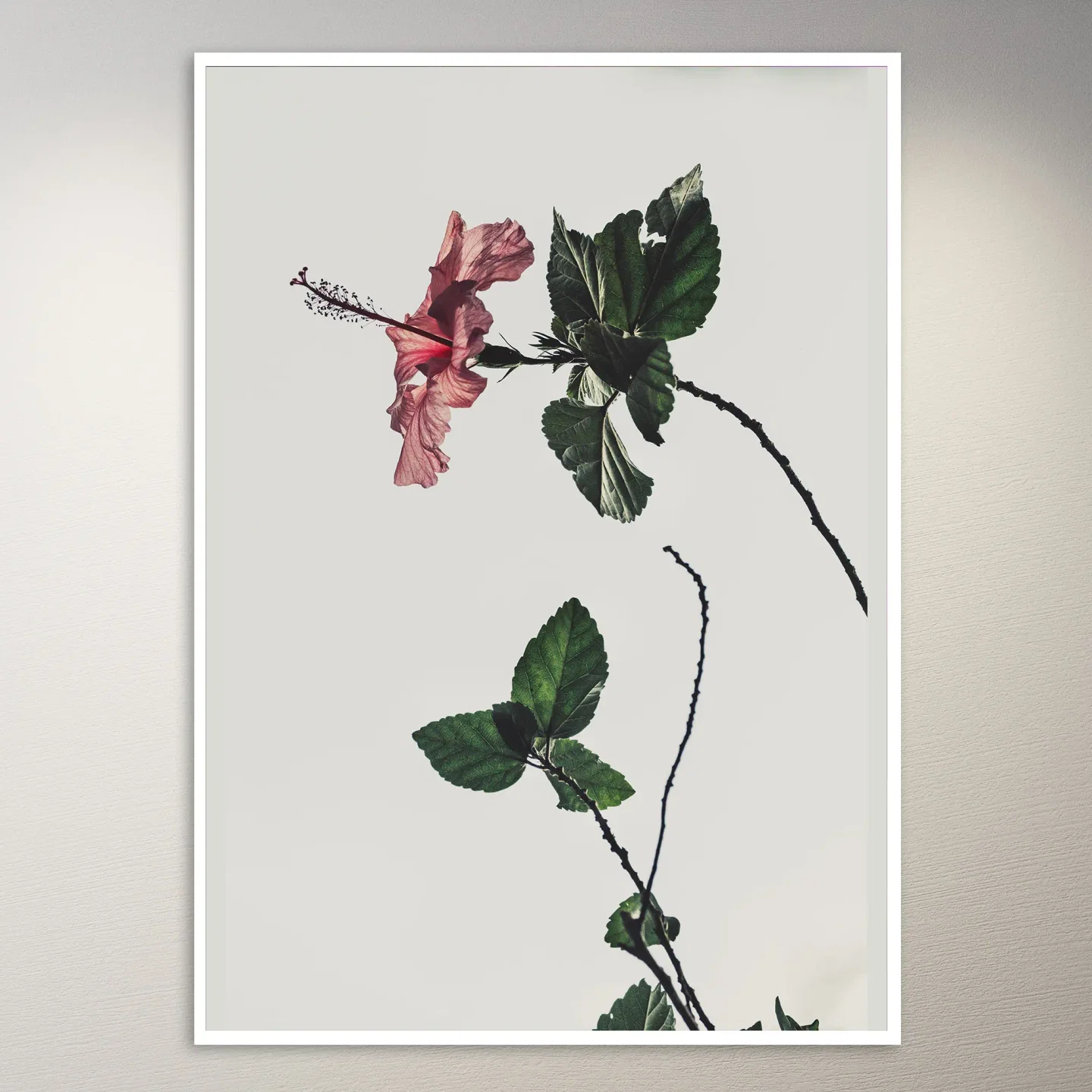 Red Flower Poster