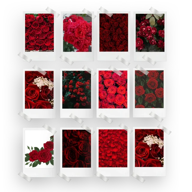 Red Roses Prints Set of 12