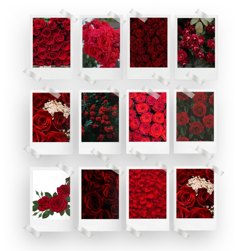 Red Roses Prints Set of 12
