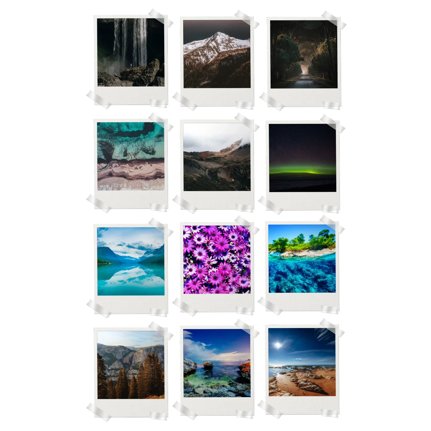 Nature Prints Set of 12