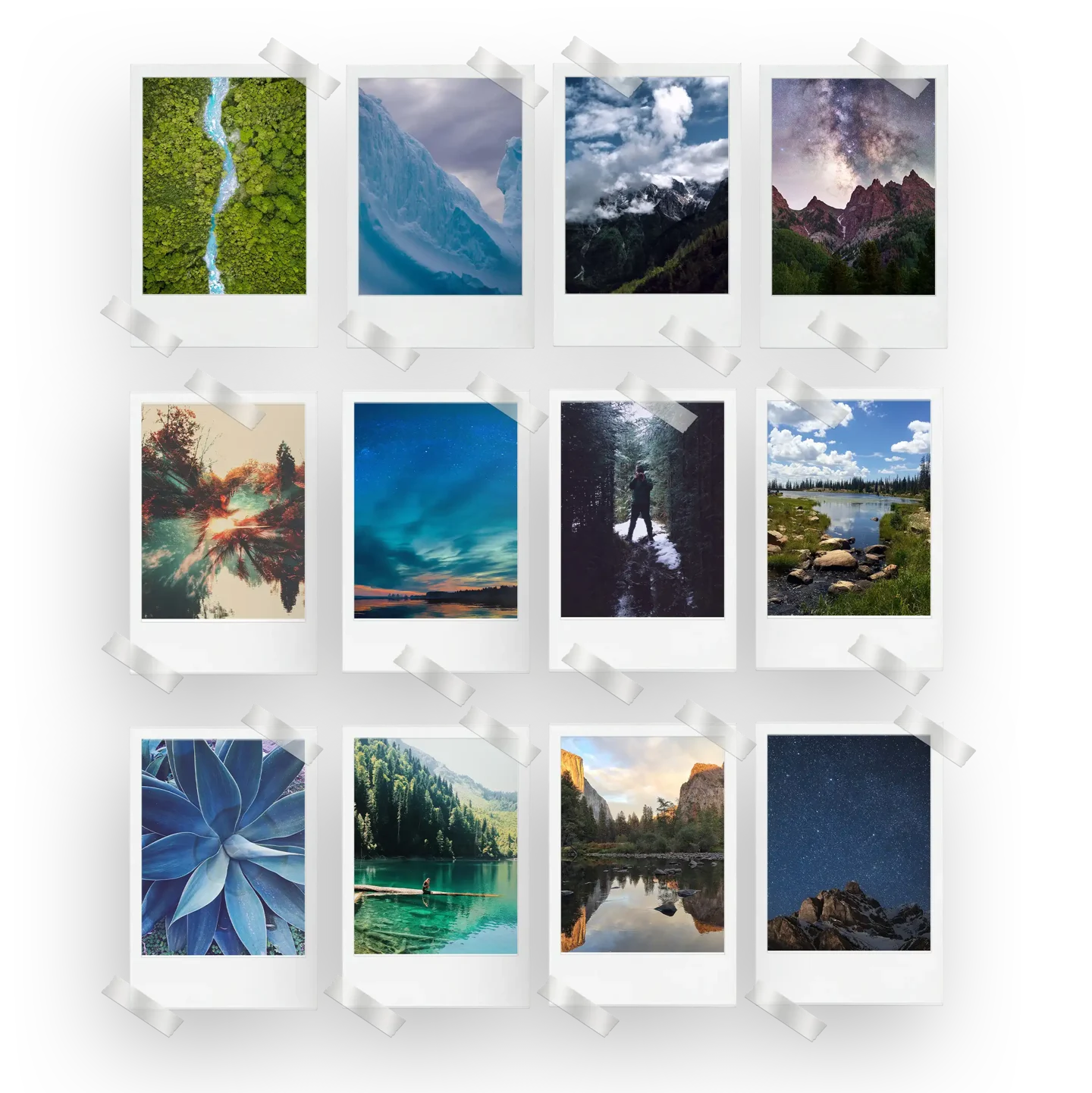 Nature Prints Set of 12