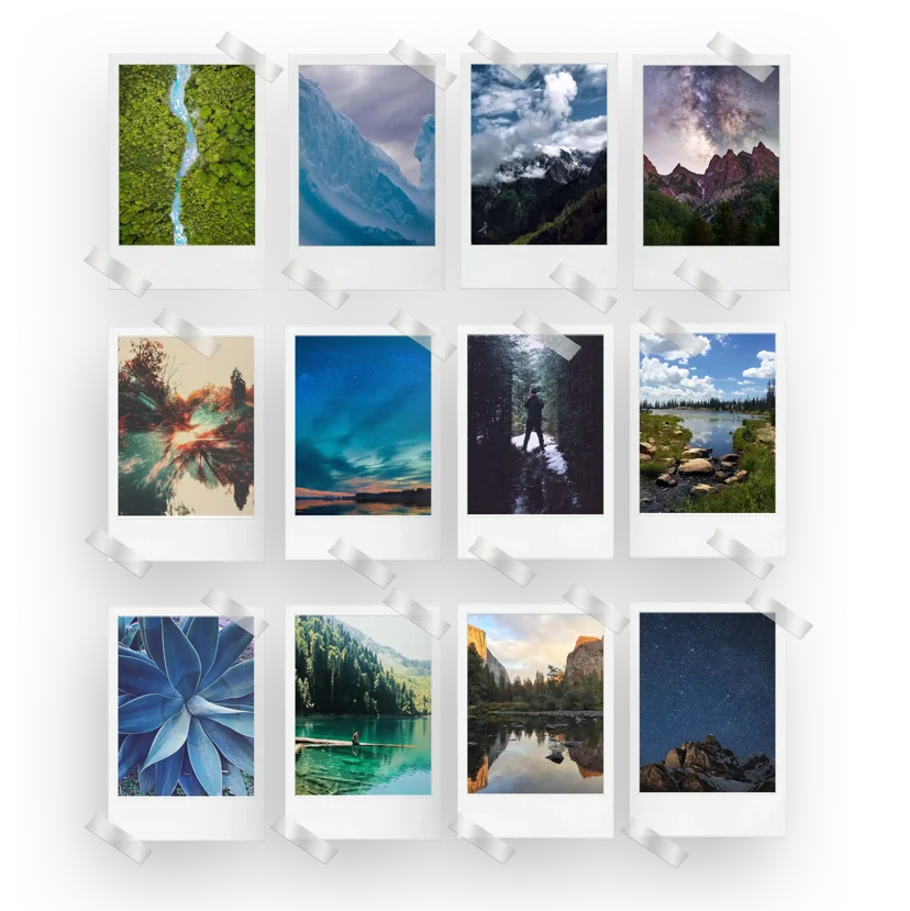 Nature Prints Set of 12