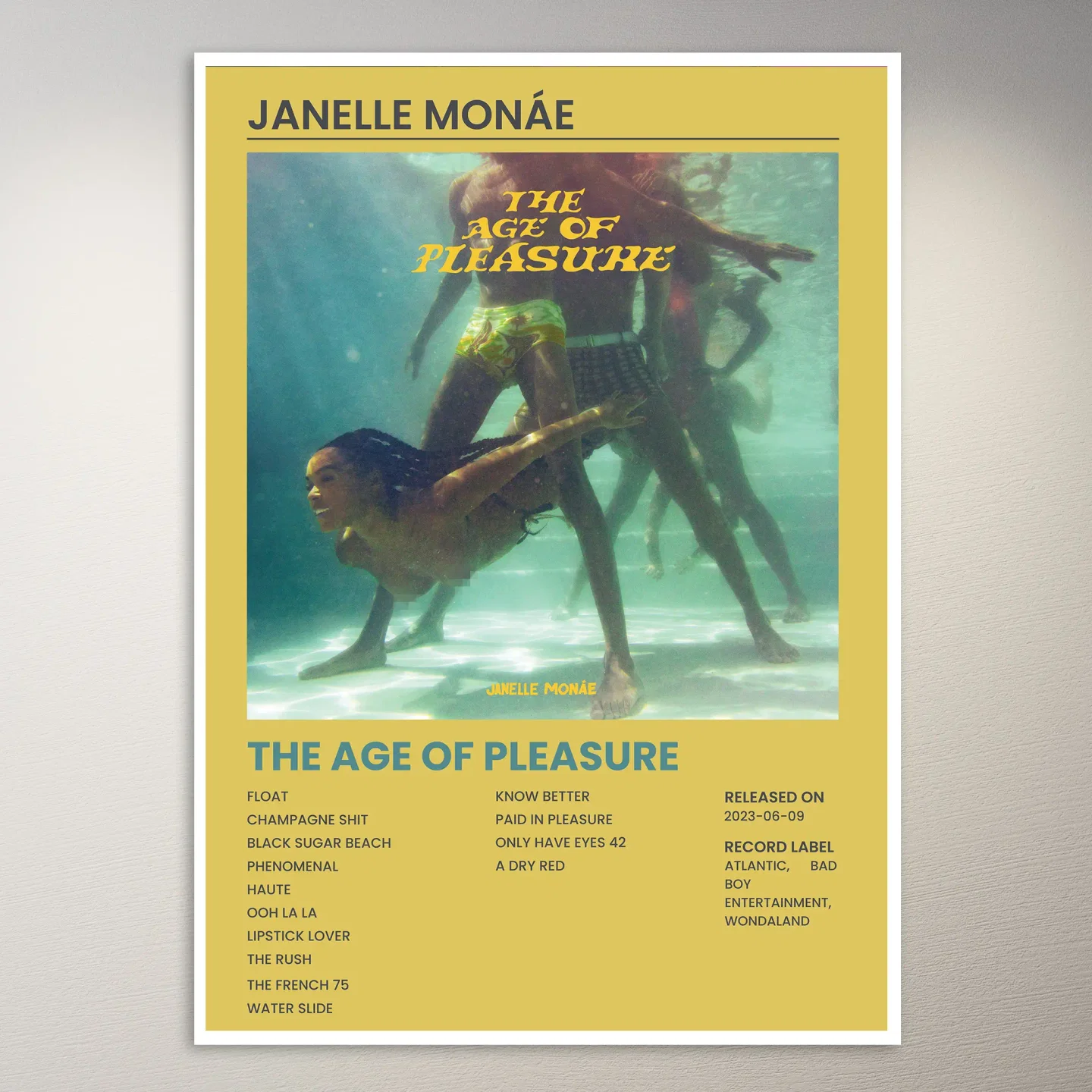 Janelle Monae Poster