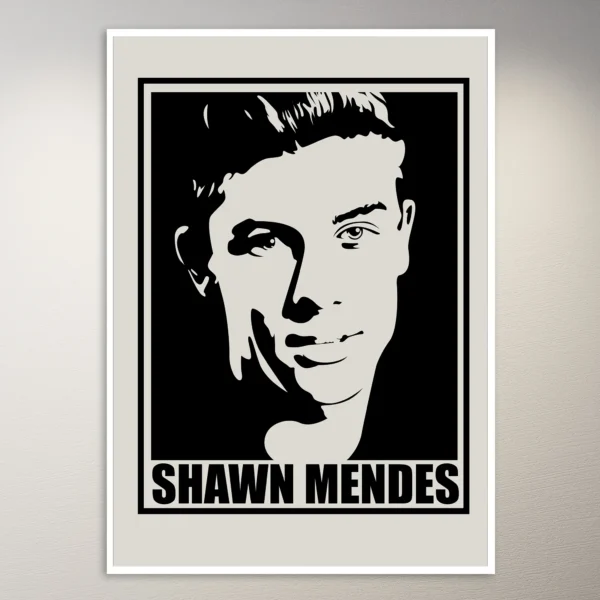 Shawn Mendes Poster | Music Poster