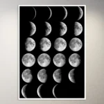 Phases of the Moon Astronomy Poster