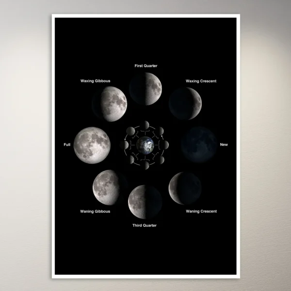 Phases of the Moon Astronomy Poster