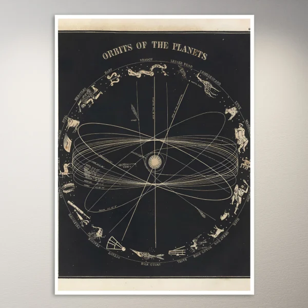 Orbits of the planets (1850) Astronomy Poster