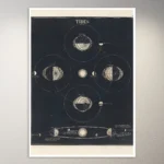 Tides (1850) Astronomy Poster