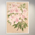 Flower Poster | Botanical Poster