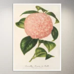 Flower Poster | Botanical Poster