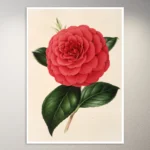 Flower Poster | Botanical Poster