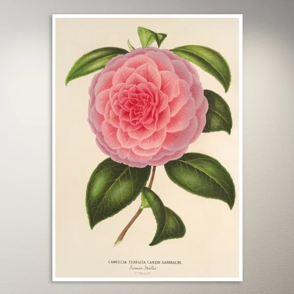 Flower Poster | Botanical Poster