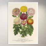 Flower Poster | Botanical Poster