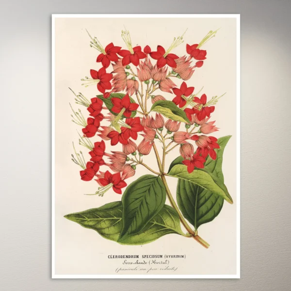 Flower Poster | Botanical Poster